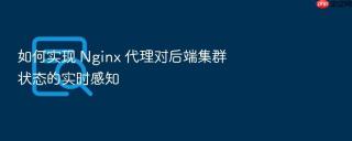 如何实现 Nginx 代理对后端集群状态的实时感知