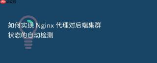 如何实现 nginx 代理对后端集群状态的自动检测