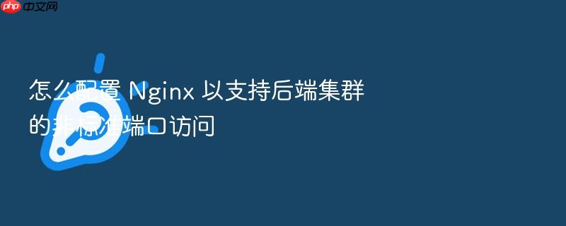 怎么配置 nginx 以支持后端集群的非标准端口访问