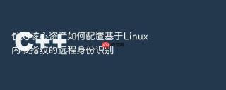 针对核心资产如何配置基于Linux内核指纹的远程身份识别
