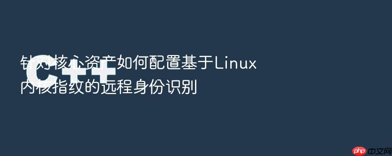 针对核心资产如何配置基于linux内核指纹的远程身份识别