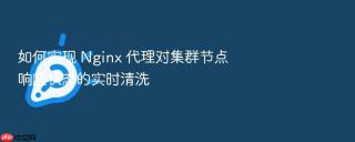 如何实现 nginx 代理对集群节点响应状态的实时清洗