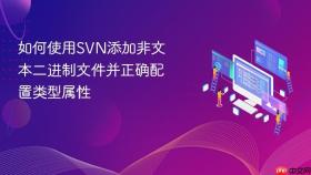 如何使用svn添加非文本二进制文件并正确配置类型属性