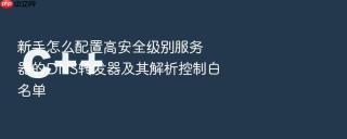 新手怎么配置高安全级别服务器的dns转发器及其解析控制白名单