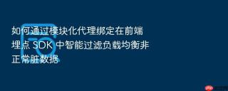 如何通过模块化代理绑定在前端埋点 sdk 中智能过滤负载均衡非正常脏数据