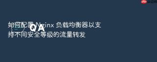 如何配置 nginx 负载均衡器以支持不同安全等级的流量转发