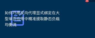 如何巧用反向代理显式绑定在大型单页应用中精准提取静态负载均衡流