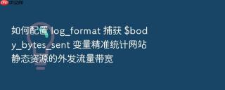 如何配置 log_format 捕获 $body_bytes_sent 变量精准统计网站静态资源的外发流量带宽