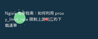nginx 专家指南：如何利用 proxy_limit_rate 限制上游响应的下载速率