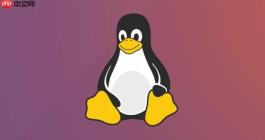 Linux 服务器定时备份方案：如何确保数据实时可恢复