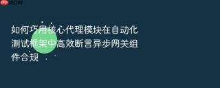 如何巧用核心代理模块在自动化测试框架中高效断言异步网关组件合规