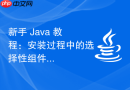 新手 Java 教程：安装过程中的选择性组件解析