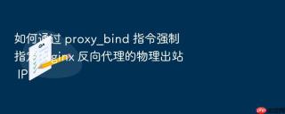 如何通过 proxy_bind 指令强制指定 Nginx 反向代理的物理出站 IP