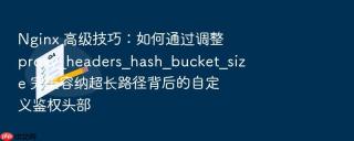 nginx 高级技巧：如何通过调整 proxy_headers_hash_bucket_size 完美容纳超长路径背后的自定义鉴权头部
