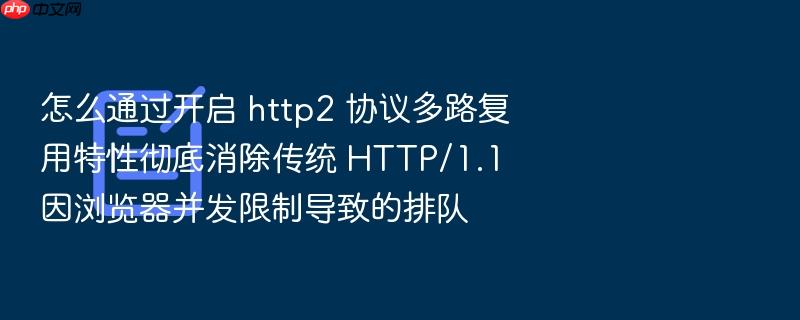 怎么通过开启 http2 协议多路复用特性彻底消除传统 http/1.1 因浏览器并发限制导致的排队