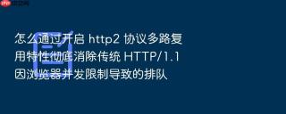 怎么通过开启 http2 协议多路复用特性彻底消除传统 http/1.1 因浏览器并发限制导致的排队