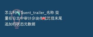 怎么利用 $sent_trailer_名称 变量在日志中审计分块传输路径末尾追加的状态元数据