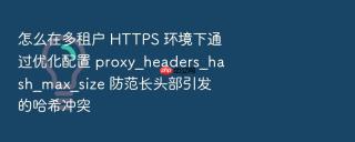 怎么在多租户 HTTPS 环境下通过优化配置 proxy_headers_hash_max_size 防范长头部引发的哈希冲突