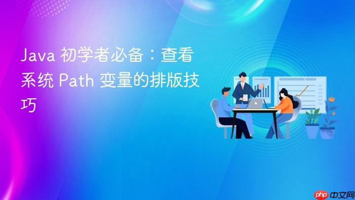 java 初学者必备:查看系统 path 变量的排版技巧