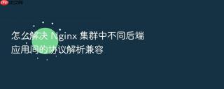怎么解决 nginx 集群中不同后端应用间的协议解析兼容