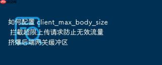 如何配置 client_max_body_size 拦截超限上传请求防止无效流量挤爆后端网关缓冲区