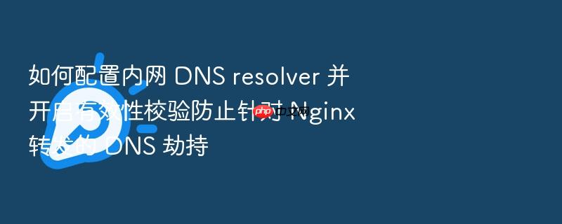如何配置内网 dns resolver 并开启有效性校验防止针对 nginx 转发的 dns 劫持
