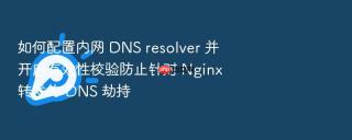 如何配置内网 dns resolver 并开启有效性校验防止针对 nginx 转发的 dns 劫持