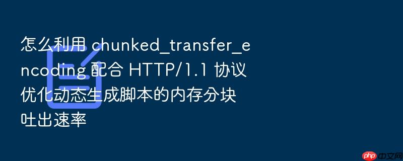 怎么利用 chunked_transfer_encoding 配合 http/1.1 协议优化动态生成脚本的内存分块吐出速率
