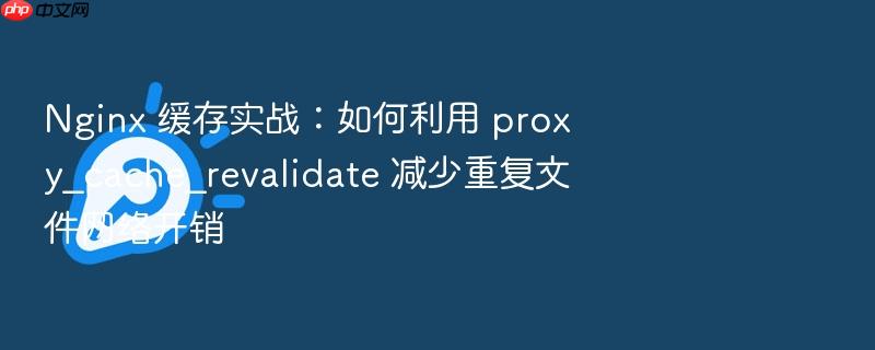 nginx 缓存实战:如何利用 proxy_cache_revalidate 减少重复文件网络开销