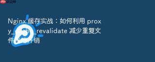 nginx 缓存实战:如何利用 proxy_cache_revalidate 减少重复文件网络开销