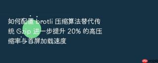 如何配置 brotli 压缩算法替代传统 gzip 进一步提升 20% 的高压缩率与首屏加载速度