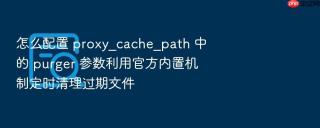 怎么配置 proxy_cache_path 中的 purger 参数利用官方内置机制定时清理过期文件