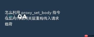 怎么利用 proxy_set_body 指令在反向代理网关层重构传入请求载荷