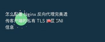 怎么配置 Nginx 反向代理完美透传客户端的私有 TLS 扩展 SNI 信息