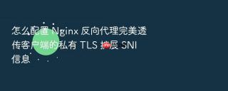 怎么配置 Nginx 反向代理完美透传客户端的私有 TLS 扩展 SNI 信息