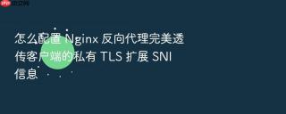 怎么配置 nginx 反向代理完美透传客户端的私有 tls 扩展 sni 信息