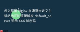 怎么配置 nginx 在遭遇未定义主机名访问时直接触发 default_server 返回 444 状态码
