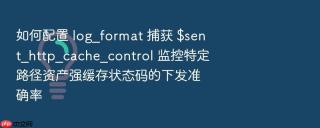 如何配置 log_format 捕获 $sent_http_cache_control 监控特定路径资产强缓存状态码的下发准确率