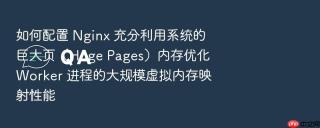 如何配置 Nginx 充分利用系统的巨大页（Huge Pages）内存优化 Worker 进程的大规模虚拟内存映射性能