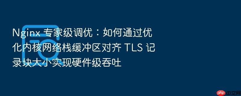 nginx 专家级调优:如何通过优化内核网络栈缓冲区对齐 tls 记录块大小实现硬件级吞吐