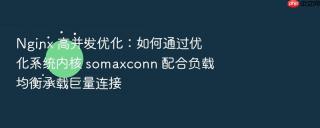 Nginx 高并发优化：如何通过优化系统内核 somaxconn 配合负载均衡承载巨量连接