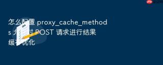 怎么配置 proxy_cache_methods 允许对 post 请求进行结果缓存优化