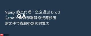 nginx 静态代理:怎么通过 brotli_static 提前部署静态资源预压缩文件节省服务器实时算力