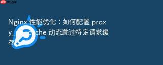 Nginx 性能优化：如何配置 proxy_no_cache 动态跳过特定请求缓存