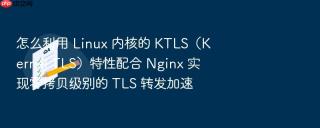 怎么利用 linux 内核的 ktls(kernel tls)特性配合 nginx 实现零拷贝级别的 tls 转发加速
