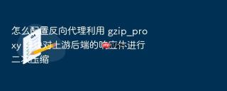 怎么配置反向代理利用 gzip_proxy 模块对上游后端的响应体进行二次压缩