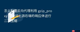 怎么配置反向代理利用 gzip_proxy 模块对上游后端的响应体进行二次压缩