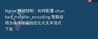 nginx 精细控制:如何配置 chunked_transfer_encoding 智能启用分块传输编码优化大文本流式下发