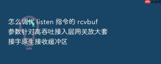 怎么调优 listen 指令的 rcvbuf 参数针对高吞吐接入层网关放大套接字原生接收缓冲区
