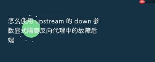 怎么使用 upstream 的 down 参数显式隔离反向代理中的故障后端